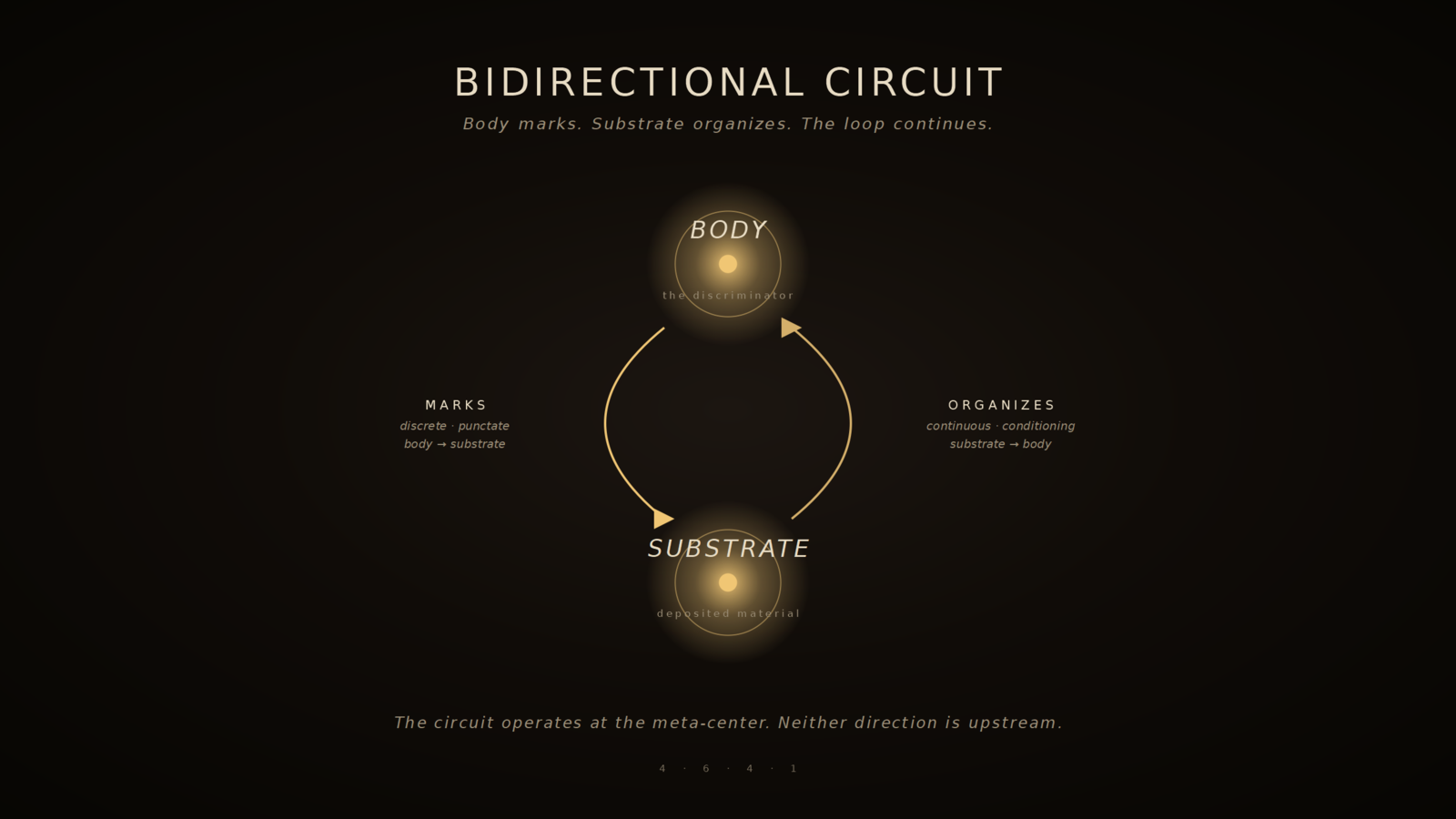 Bidirectional Circuit — body ↔ substrate